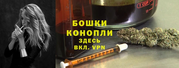 spice Лагань