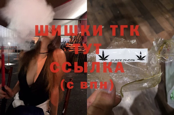 spice Лагань