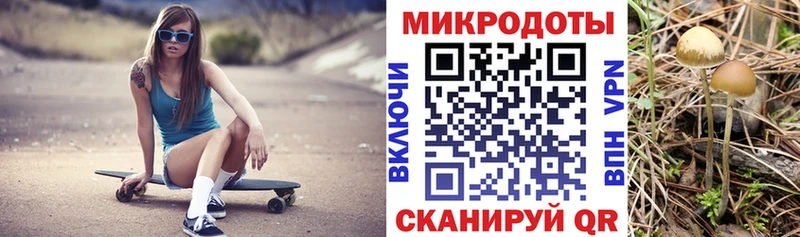 Галлюциногенные грибы прущие грибы  Купить где  Апшеронск 